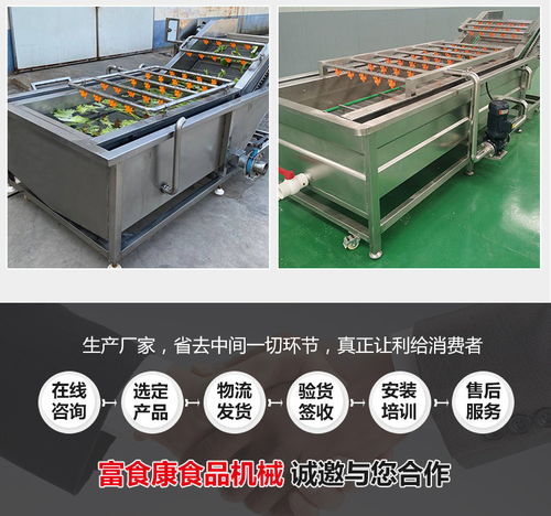 竹筍翻浪清洗機(jī) 諸城市富食康食品機(jī)械 竹筍翻浪清洗機(jī)生產(chǎn)商