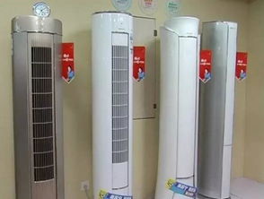 酷暑催熱婁底 夏日經濟 一店一天賣4千斤西瓜