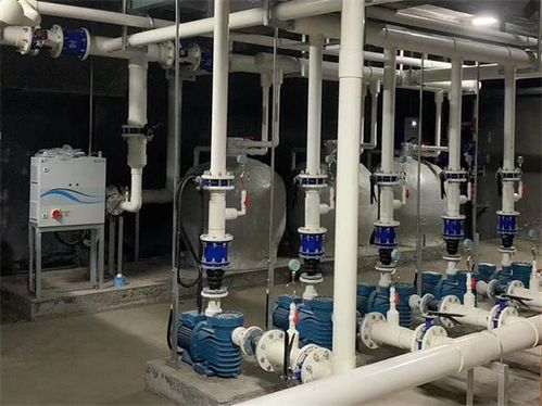夏季泳池設備迎來消費熱潮,廣州千葉銷量口碑不斷走高